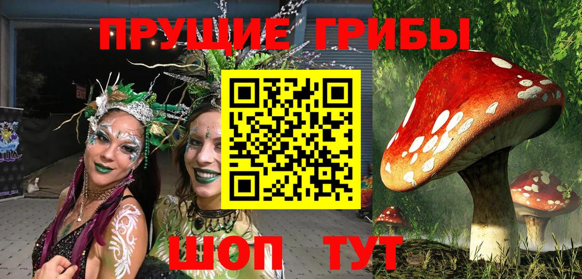 Галлюциногенные грибы мухоморы Шали
