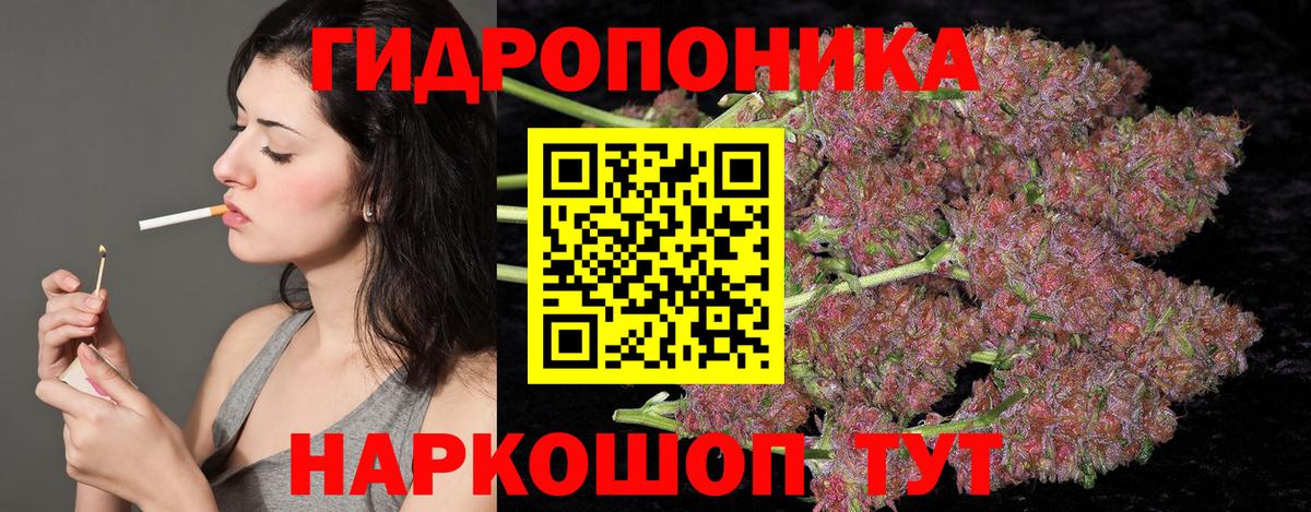 МАРИХУАНА SATIVA & INDICA Шали